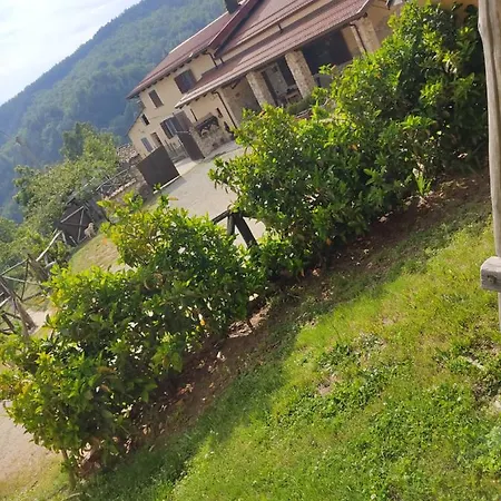 Agriturismo Colle Margherita Κατάλυμα σε φάρμα Castiglione Cosentino