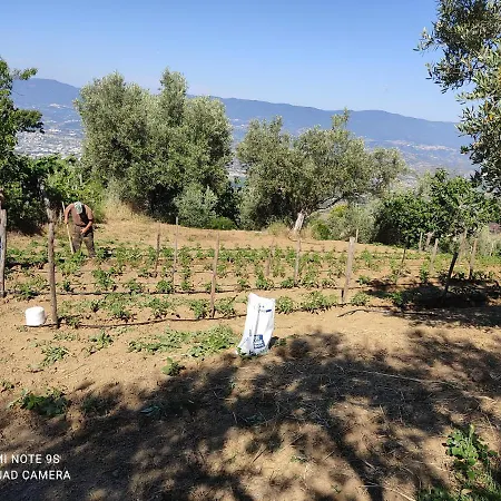Agriturismo Colle Margherita